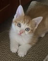 Coco Chanel