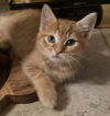 Rusty