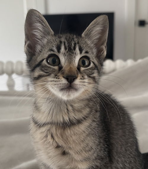 Miles