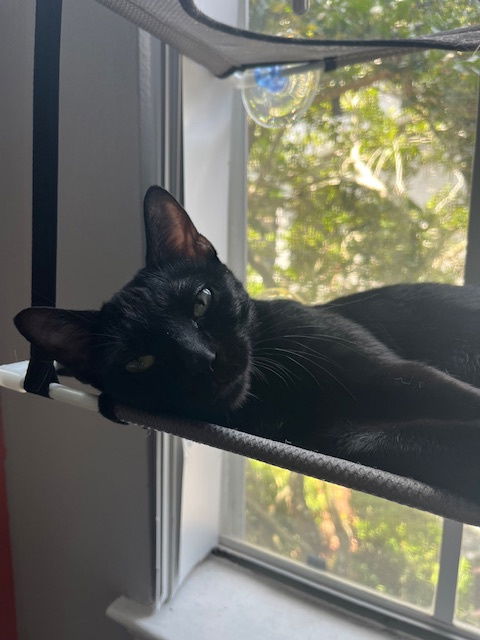 Luna