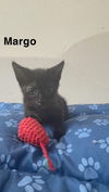 Margo