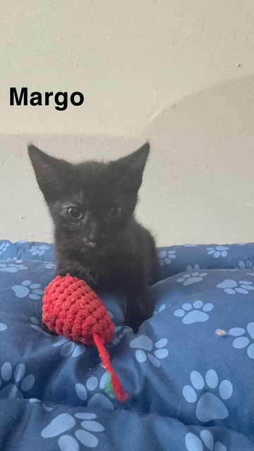 Margo