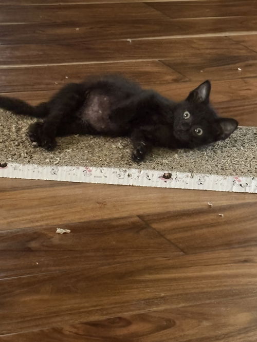 Soot