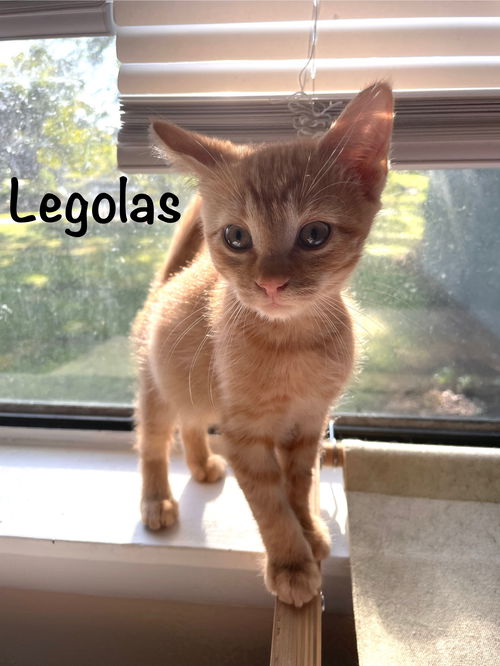 Legolas