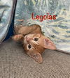 Legolas