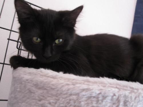 Luna