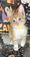 Harry