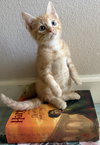 Hufflepuff