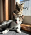 Lucy