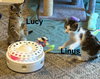 Linus