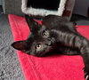 Ellie