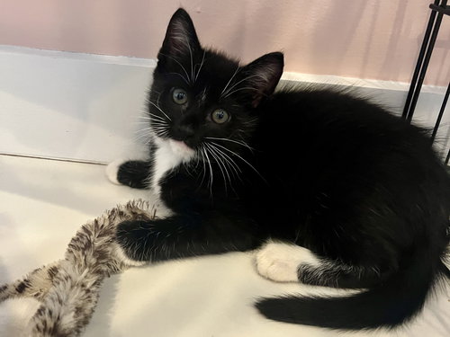 Eleanor