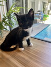 Eleanor