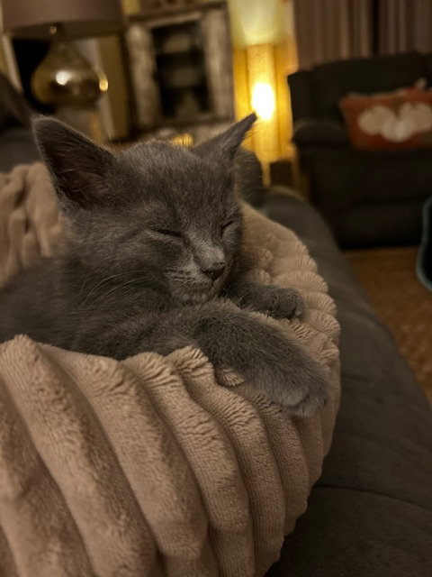 Smokey