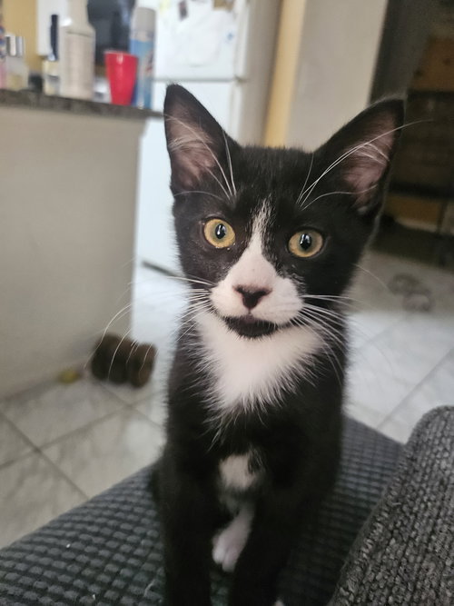 Chili