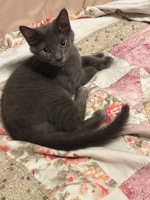 Soot