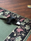 Nellie