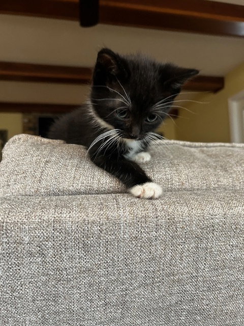 Fluff