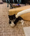Fluff