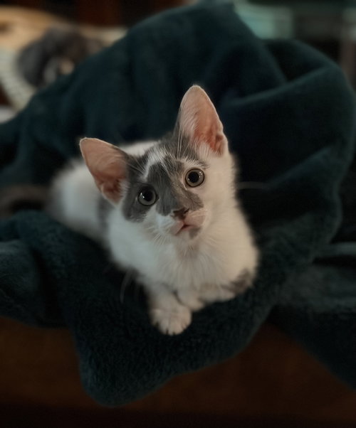 Benny