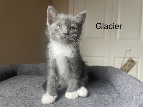 Glacier