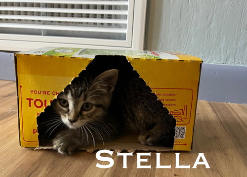 Stella
