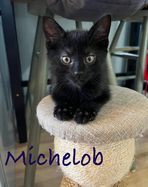 Michelob