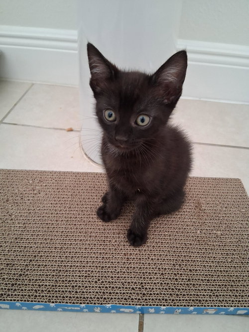 Duncan