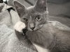 Smudge