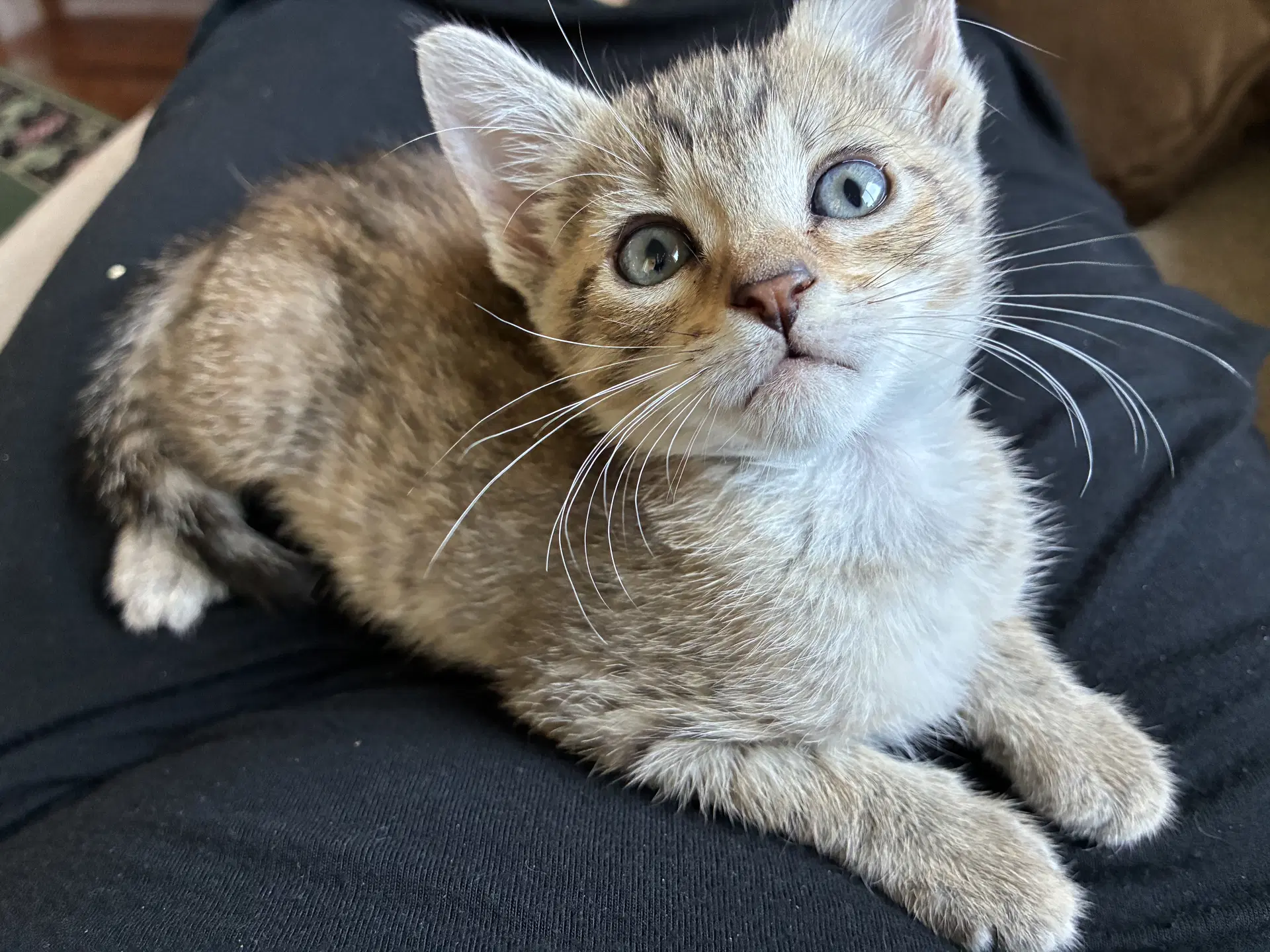 Wendy image 2