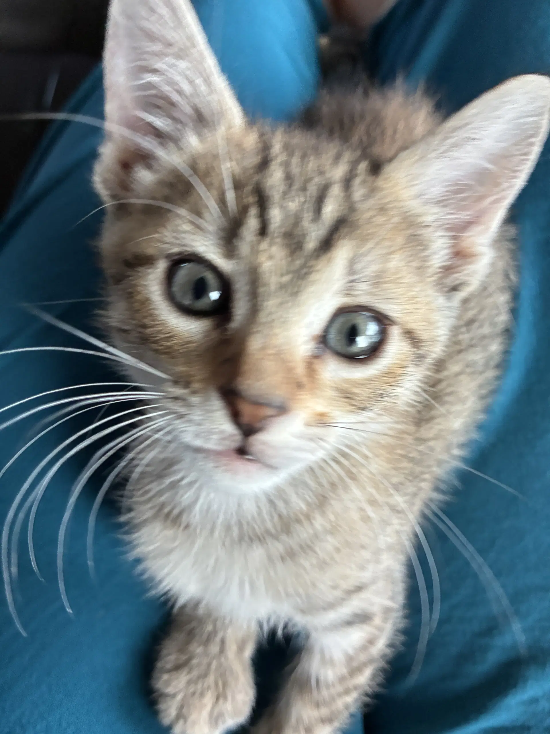 Wendy image 4