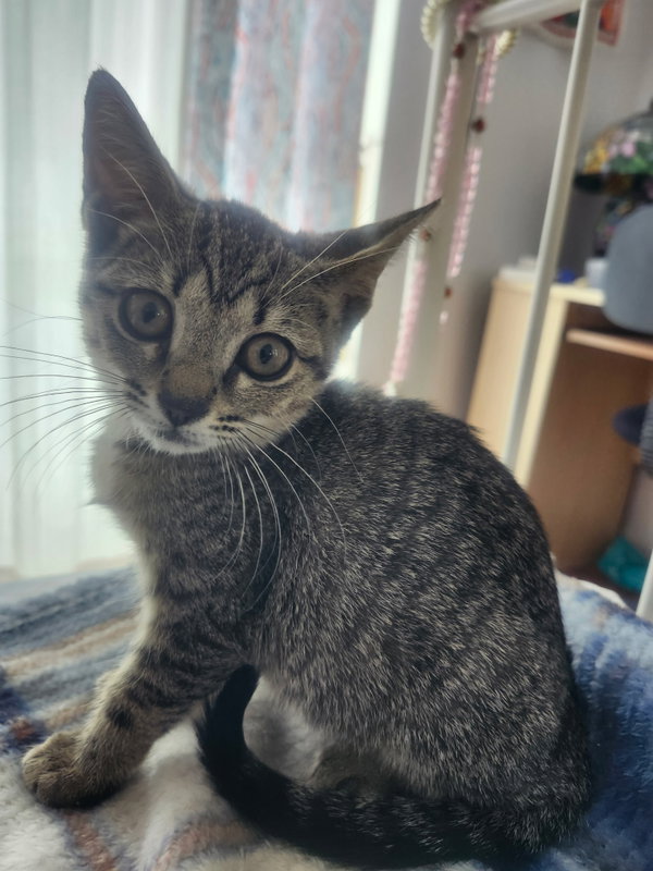 Luna