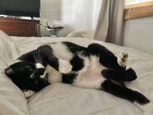 Photo 5 of TuxeE
