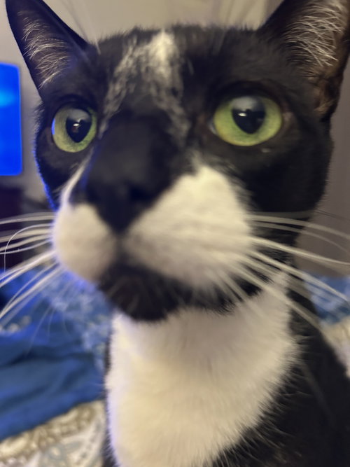 TuxeE