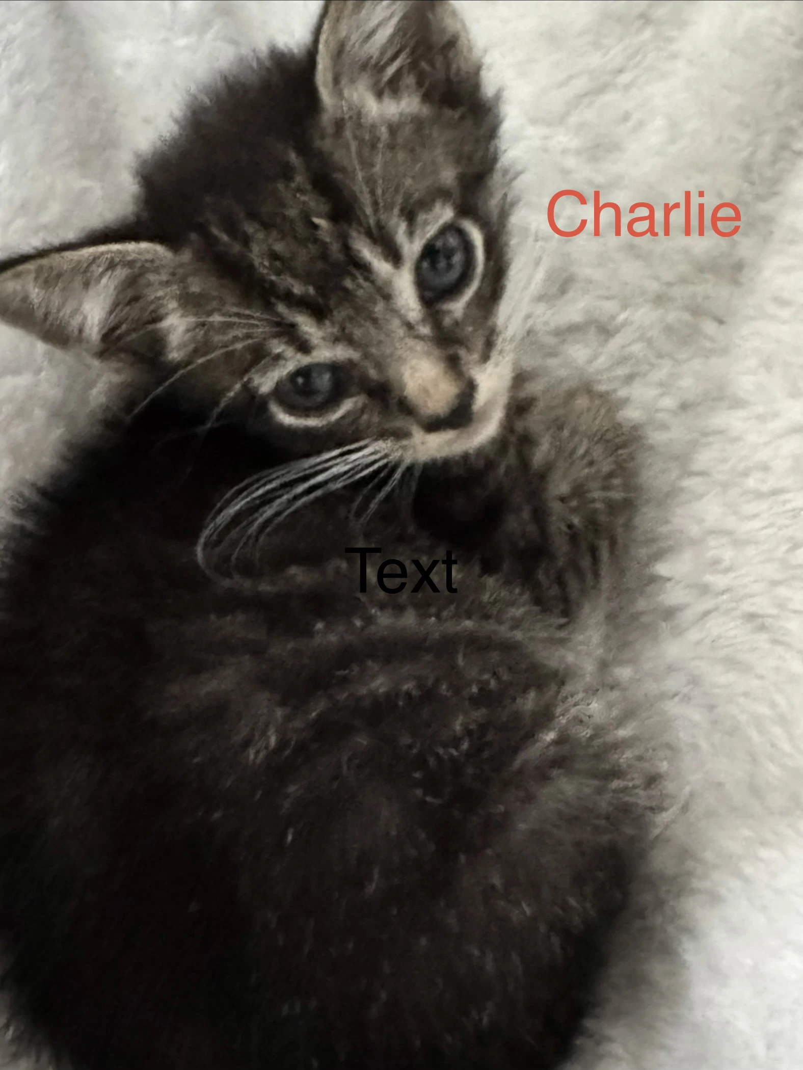 Charlie