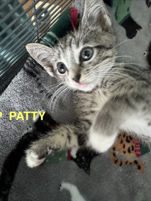 Peppermint Patty