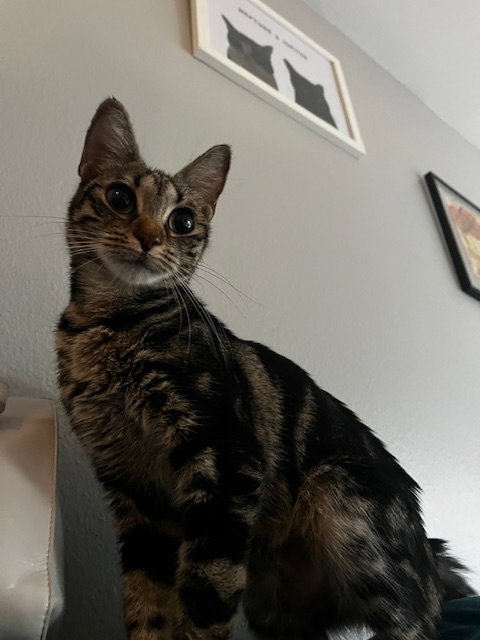 Sabrina
