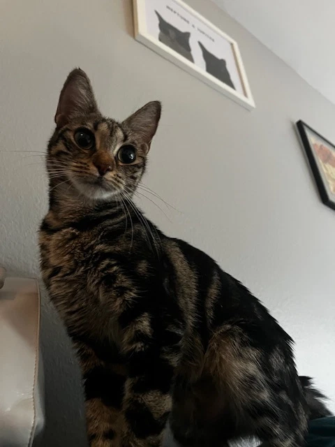 Sabrina