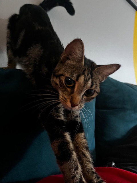 Sabrina, photo 3