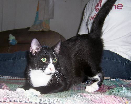 Max