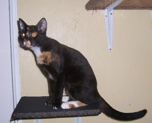 Sugar 2011