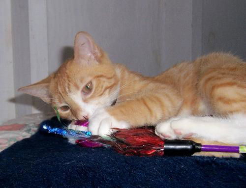 Sonny 2012