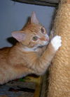 Sonny 2012
