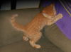 Stuart