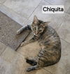 Chiquita