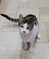 Oliver