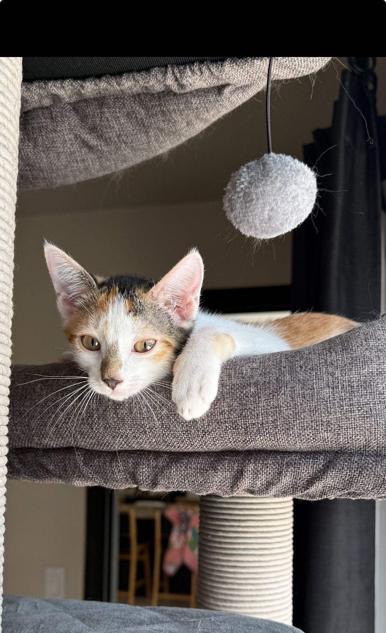 Delilah Image