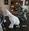 Spots - Photo 4