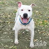 JAX - Photo 1