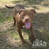FRITO - Photo 1